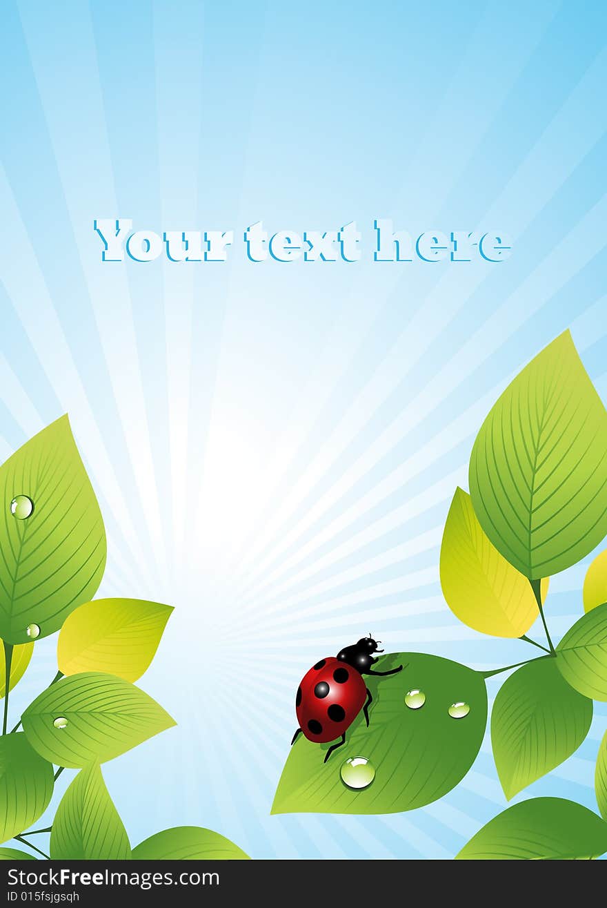 Ladybird on leaf, vector illustration, AI file included. Ladybird on leaf, vector illustration, AI file included