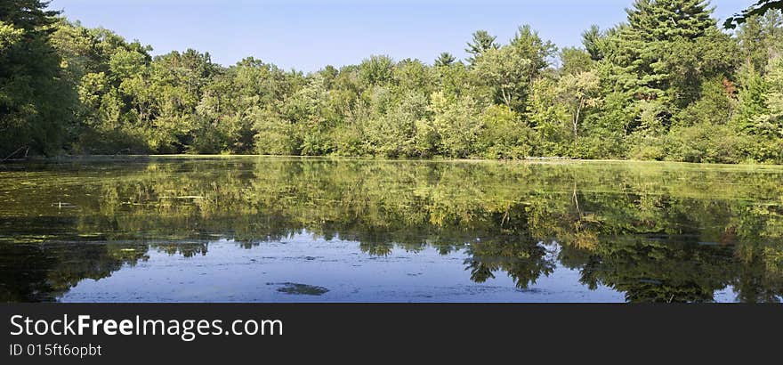 Beautiful northwoods scene of trees reflecting on the creek. Beautiful northwoods scene of trees reflecting on the creek