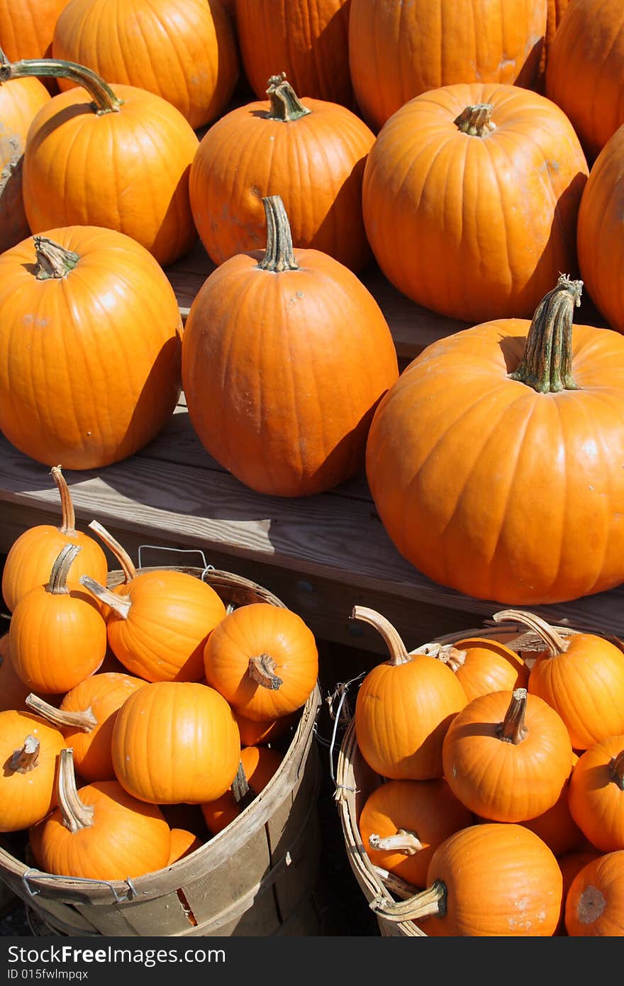 Pumpkins at a roadside farm stand