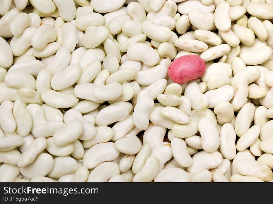 One purple bean among many white beans - concept for standing out. One purple bean among many white beans - concept for standing out