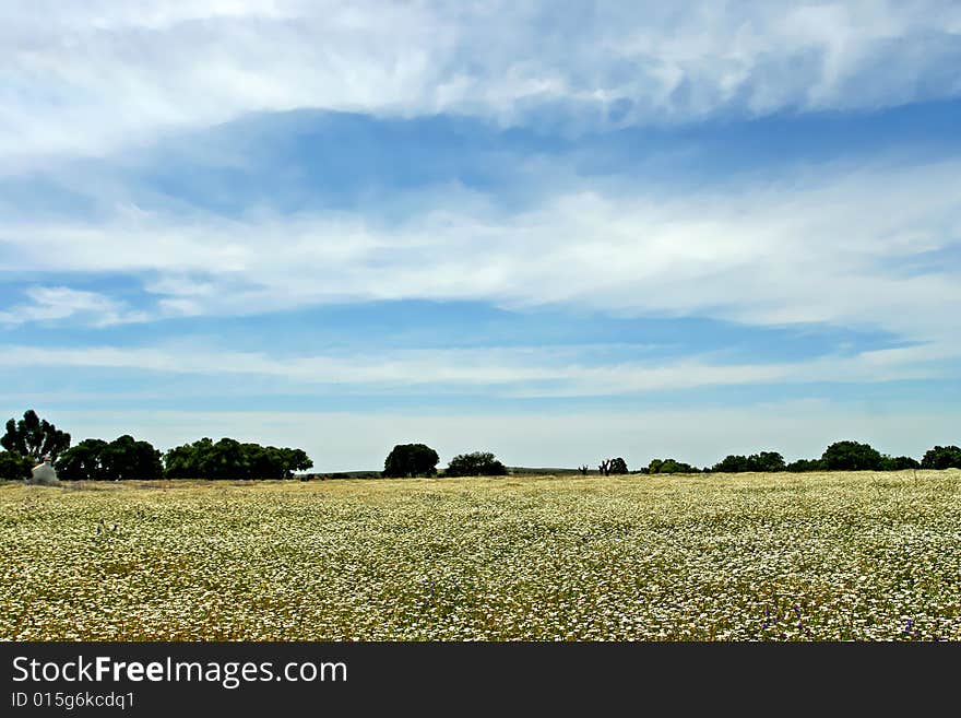 alentejo