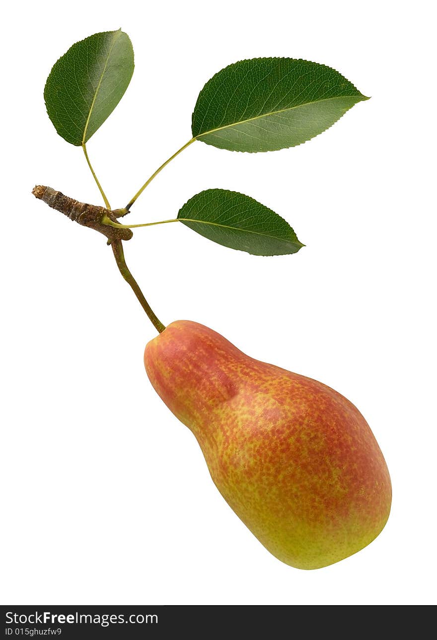 Pear single