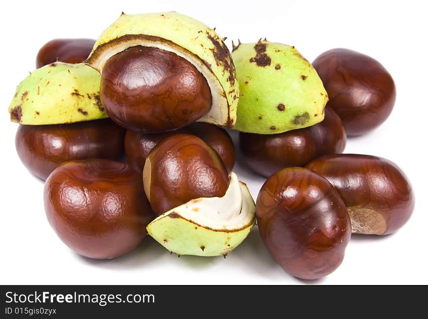 Many brown chestnuts