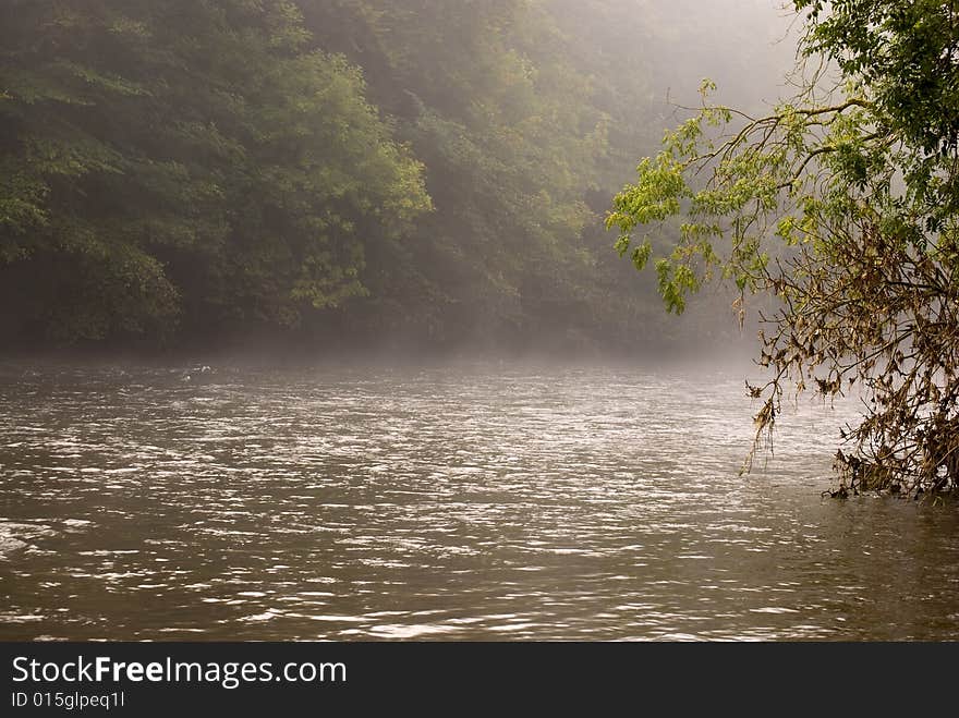 Forest river on fogged morning