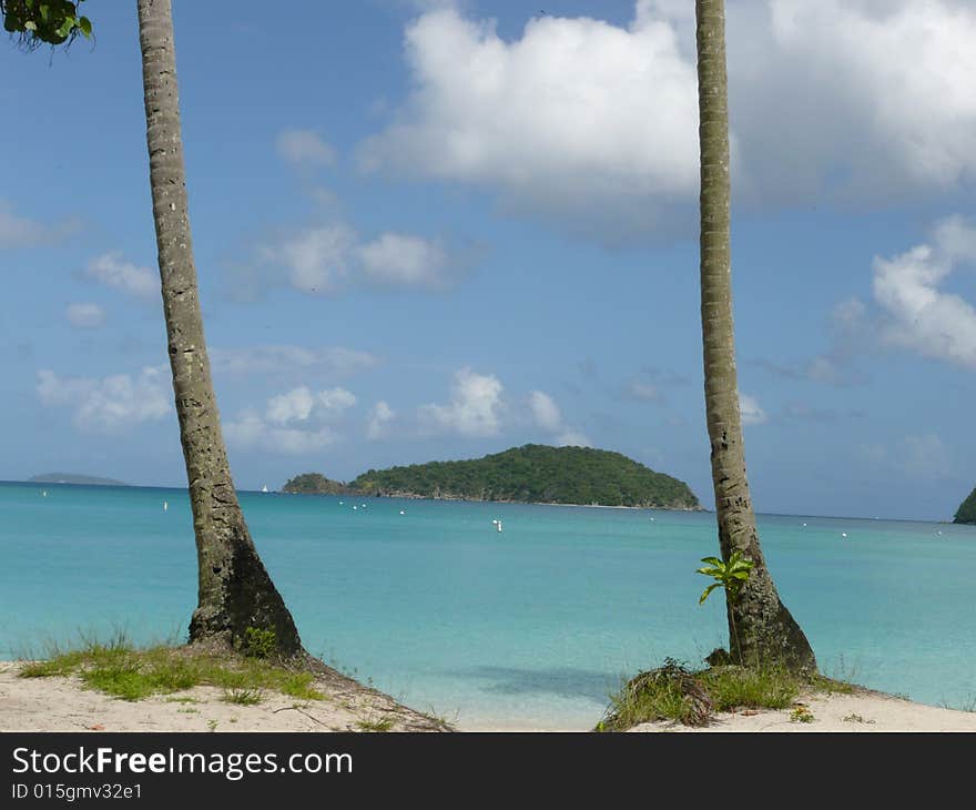 Island between two palm trees on a turquoise sea at caribbean island