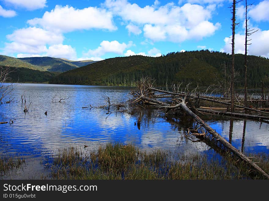 Rural Lake