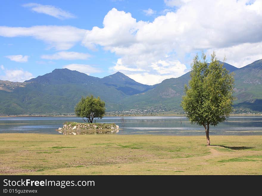 Trees & lake in Yunnan,China