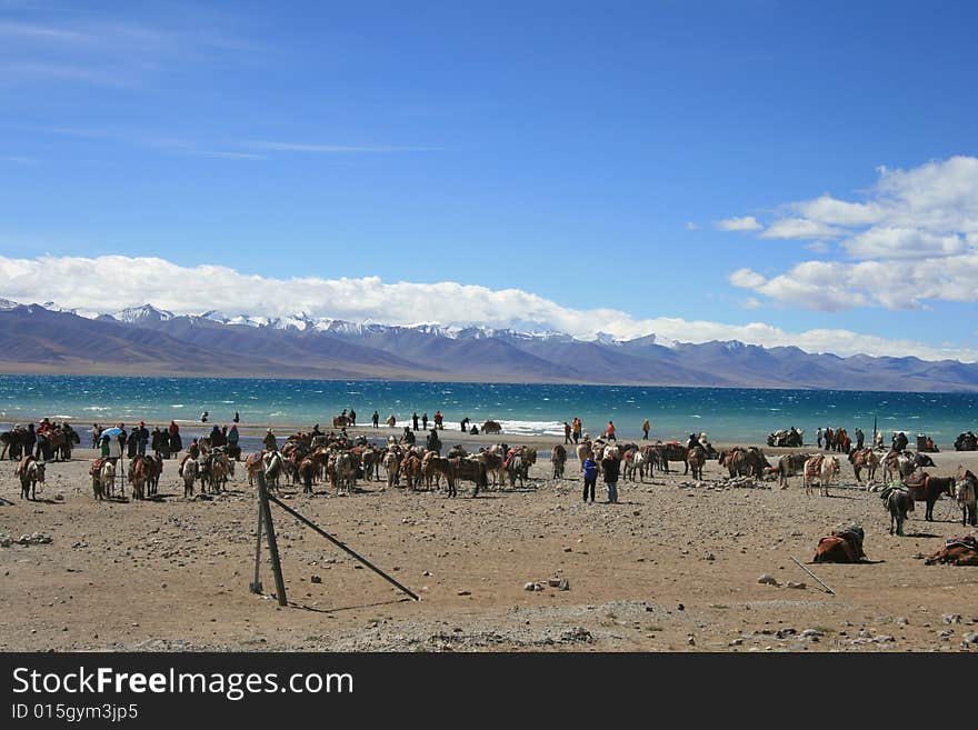 Tibet s Nam Co Lake