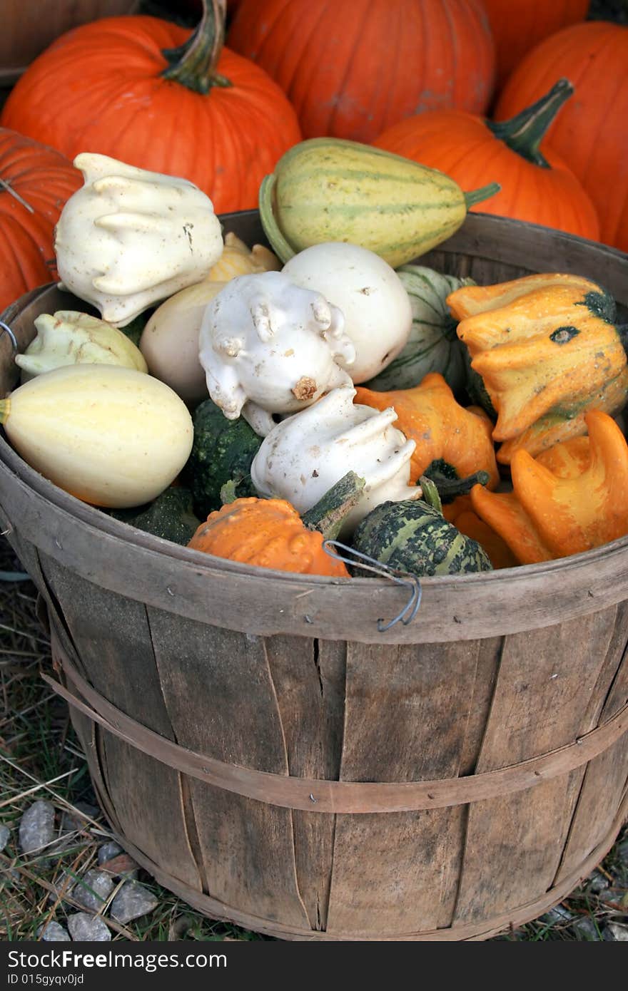 At a farmers market, a basket of squash in colorful variety. At a farmers market, a basket of squash in colorful variety