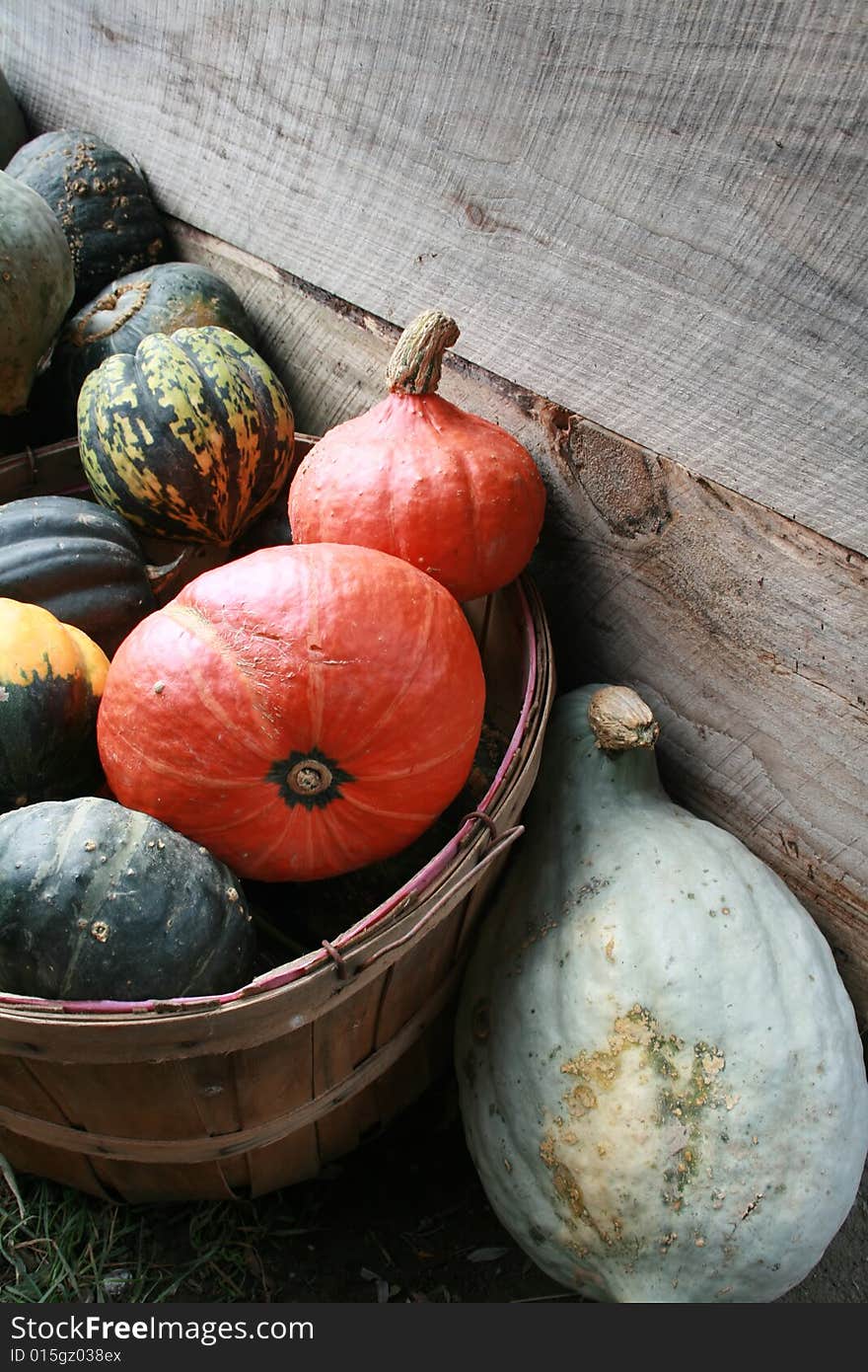 Fresh Squash, Mixed Varieties