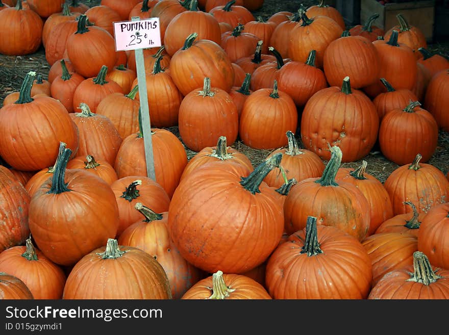 Pumpkins for Sale