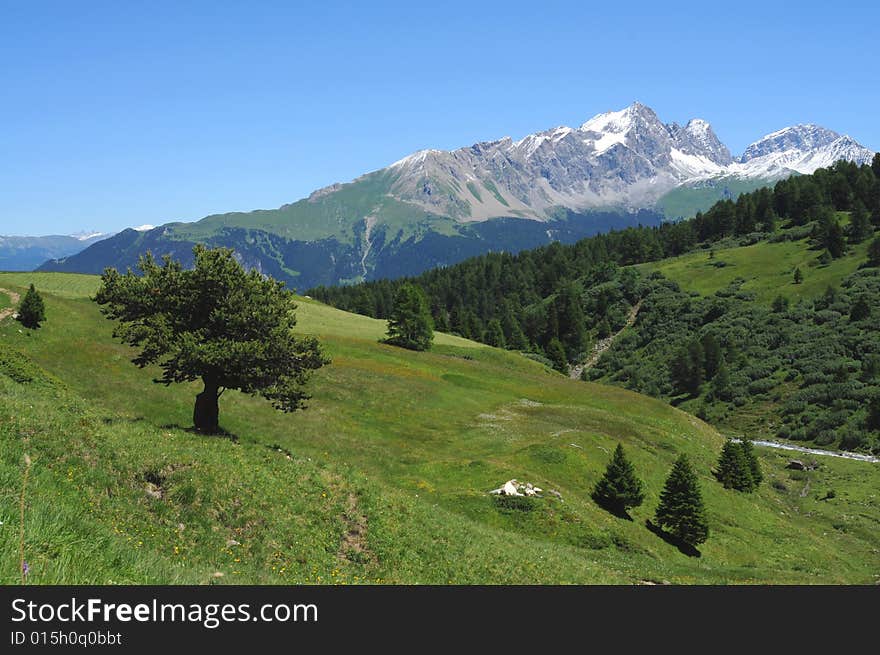 Swiss panorama