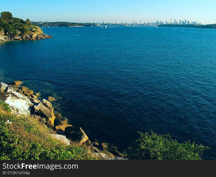 View with the Sydney skyline in the background