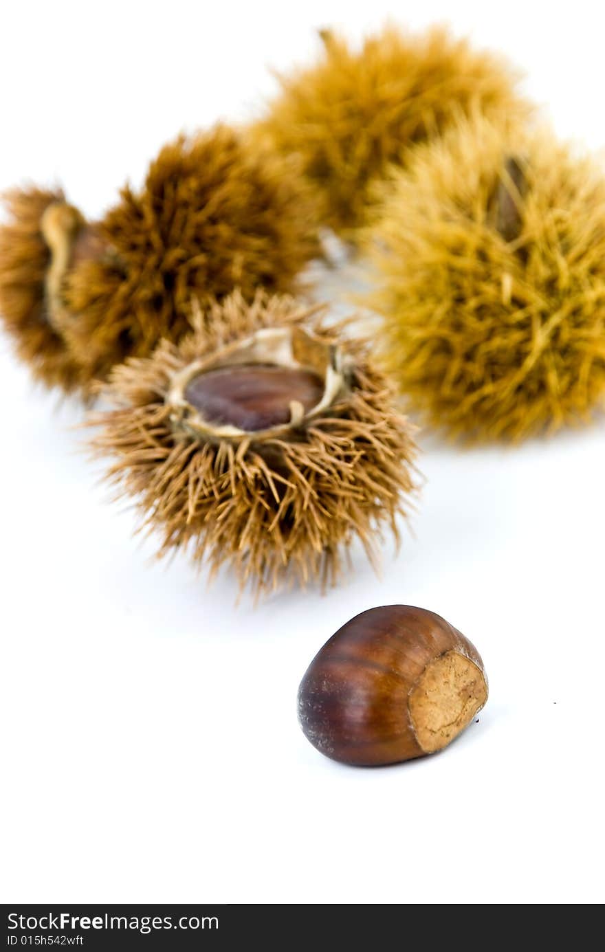 Edible, ripe chestnuts - isolated on white background.