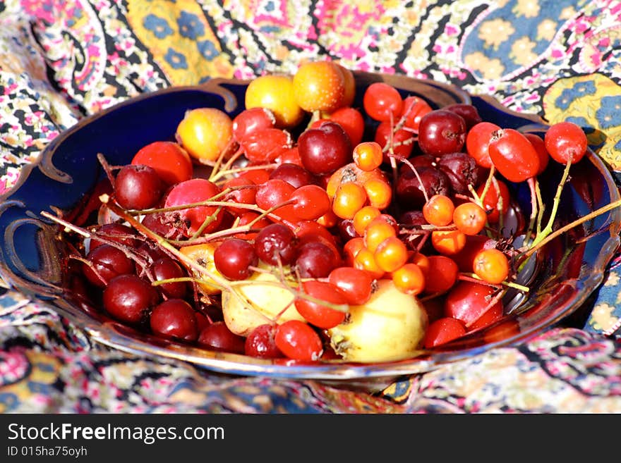 Wild berries and fruits in an ancient plate. Wild berries and fruits in an ancient plate