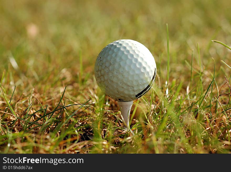 Golf ball in grass