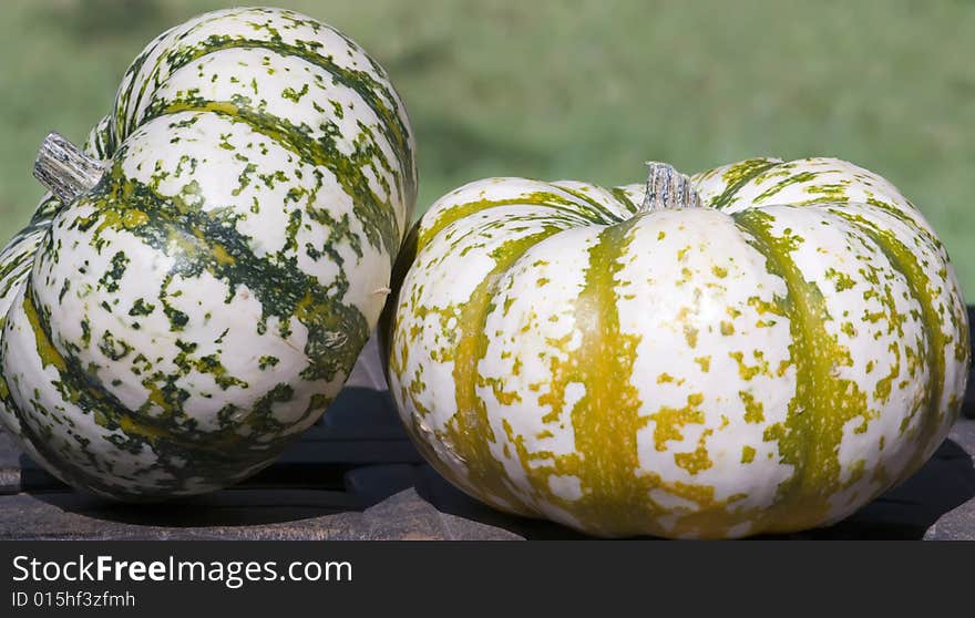 A pair of colorful pumpkins. A pair of colorful pumpkins.