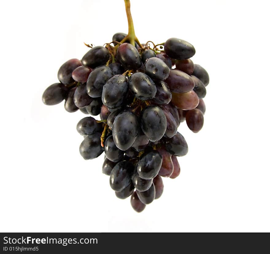 Black grapes isolated on white