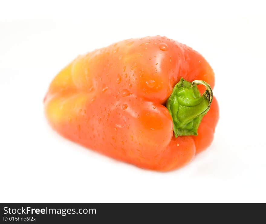 One pepper isolated on white