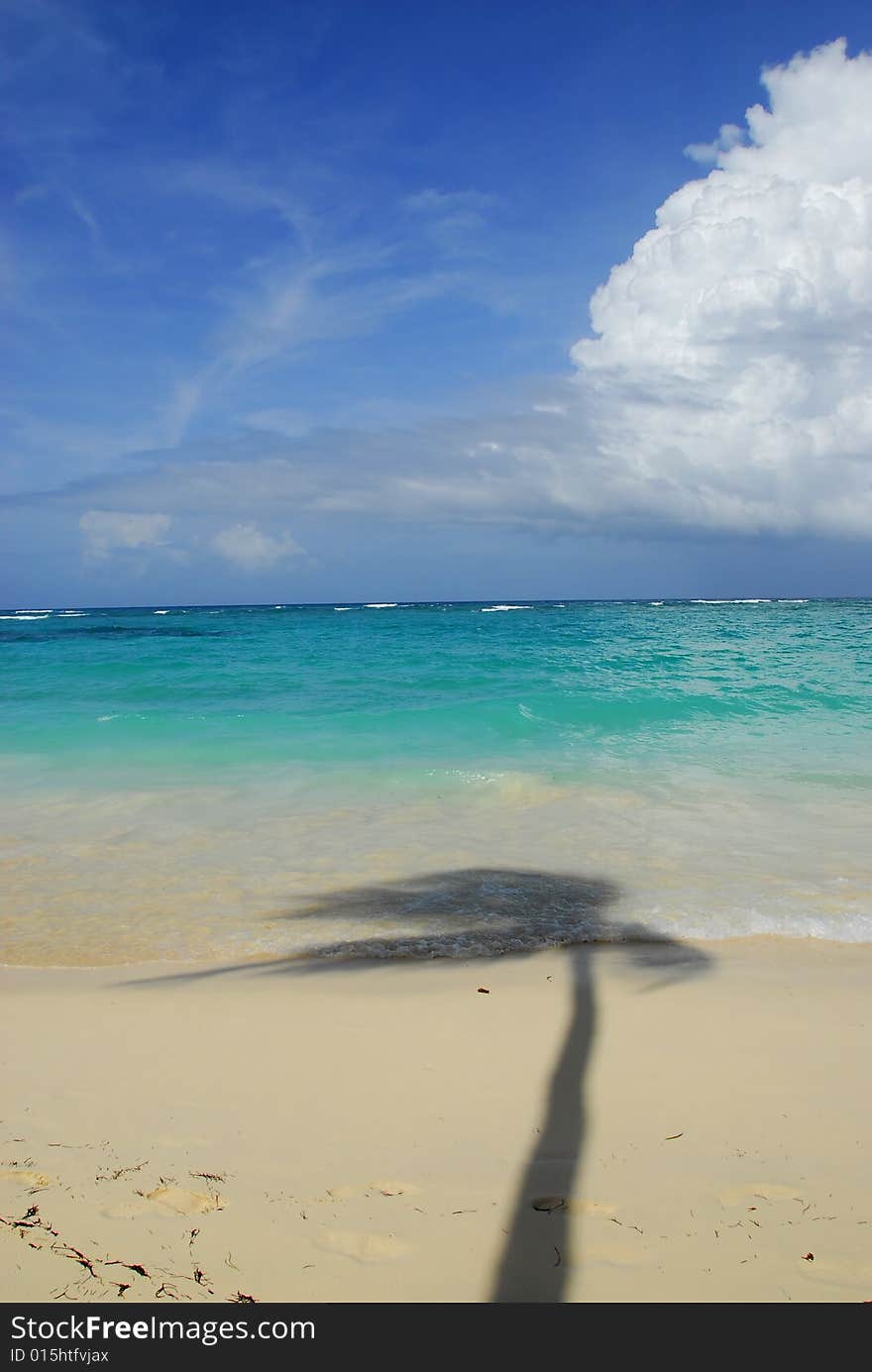 Pristine tropical beach with palm trees shadows on Caribbean island. Colors are natural. Bavaro Beach, Punta Cana