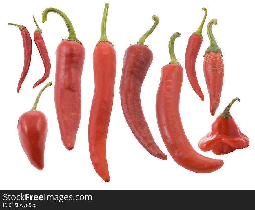 Different types of red red hot chili pepper