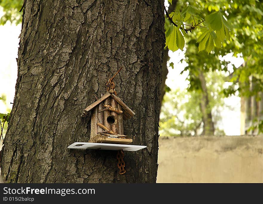 This image represent a house of birds on a big tree in a garden in Bucharest. This image represent a house of birds on a big tree in a garden in Bucharest