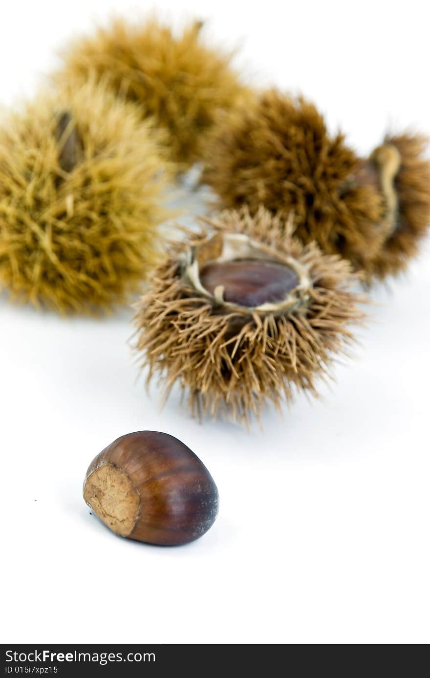 Edible, ripe chestnuts - isolated on white background