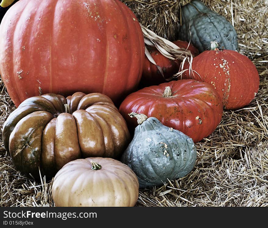 Eight different colored pumpkins lying on hay bales. Eight different colored pumpkins lying on hay bales