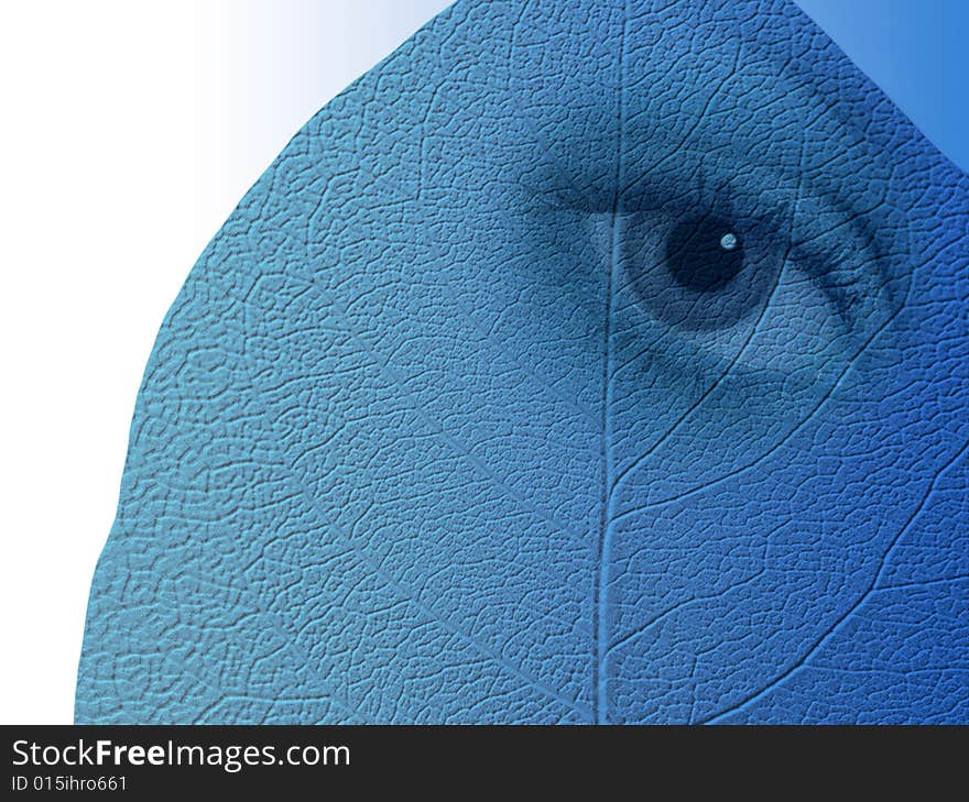 Surreal image of eye overlaid onto blue textured leaf. Surreal image of eye overlaid onto blue textured leaf