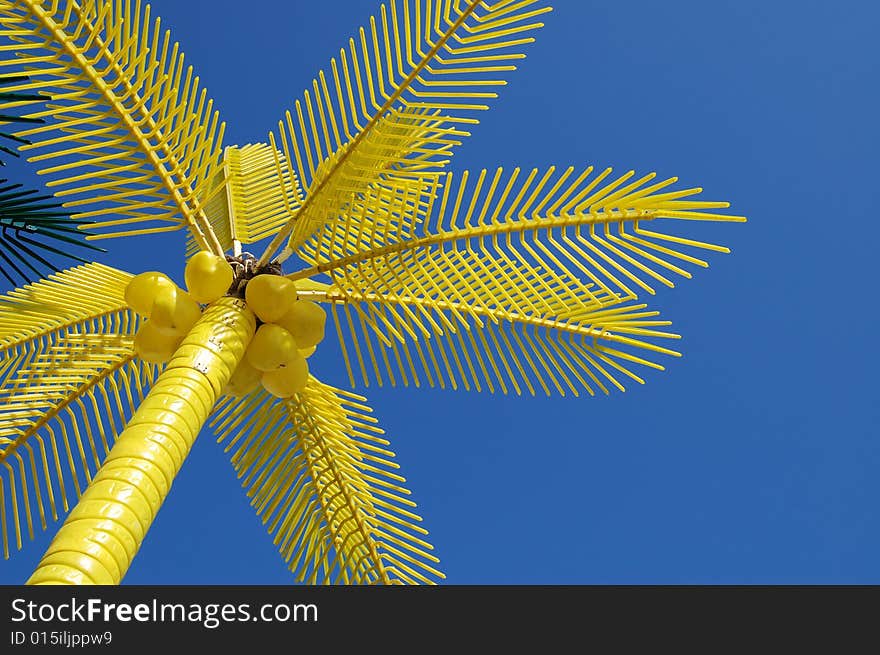 Yellow palms on beach with sky background. Yellow palms on beach with sky background