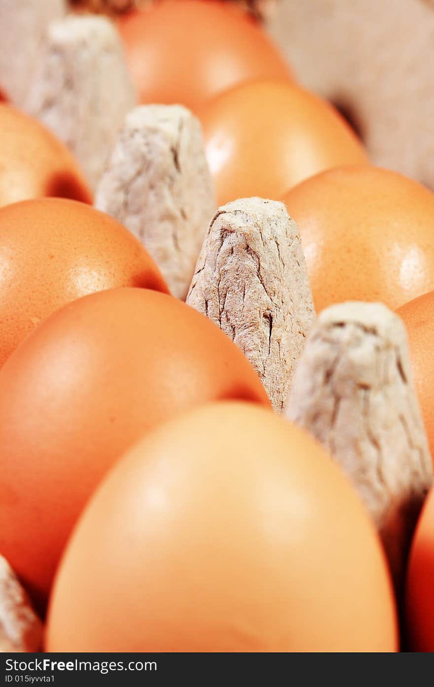 Close up of an open egg carton