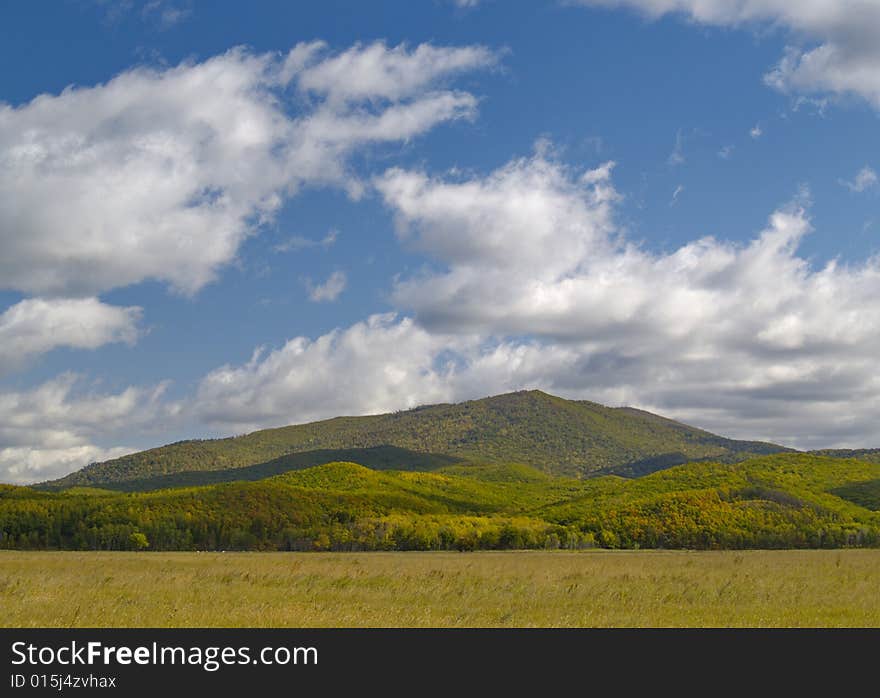 Summer landscape with mountain