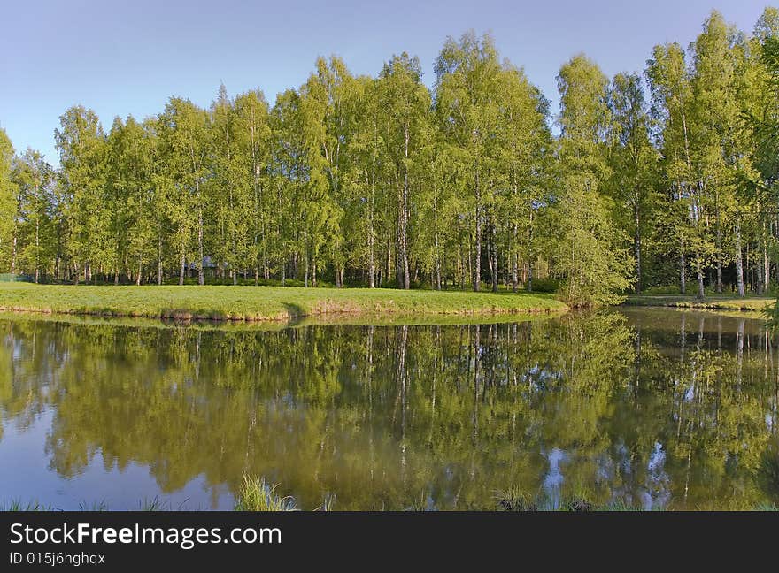 Landscape with birch forest near lake under blue sky