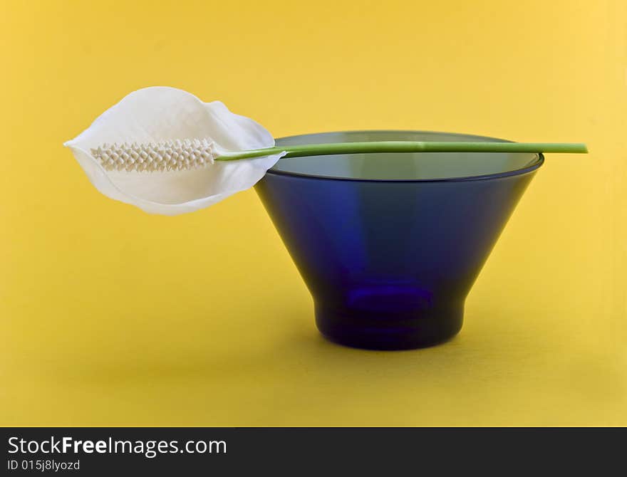 Glass bowl isolated on yellow background