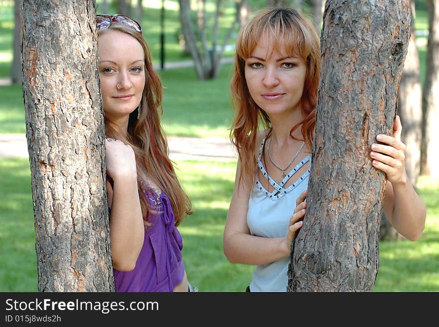 Girls staying near the tree. Girls staying near the tree