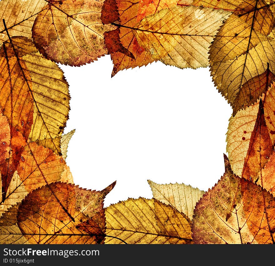 Vibrant color large autumn frame with leaves