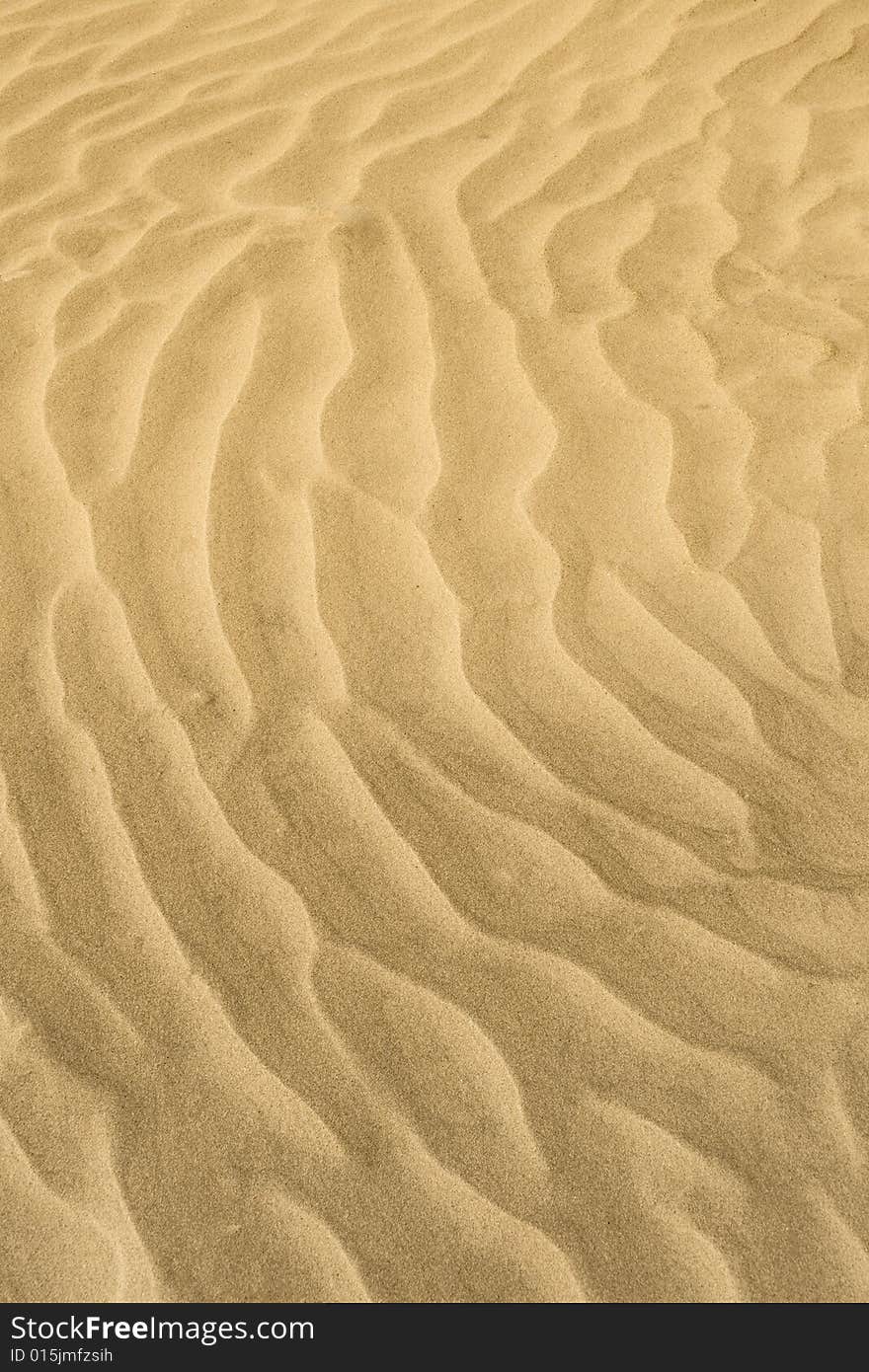 Sand Waves