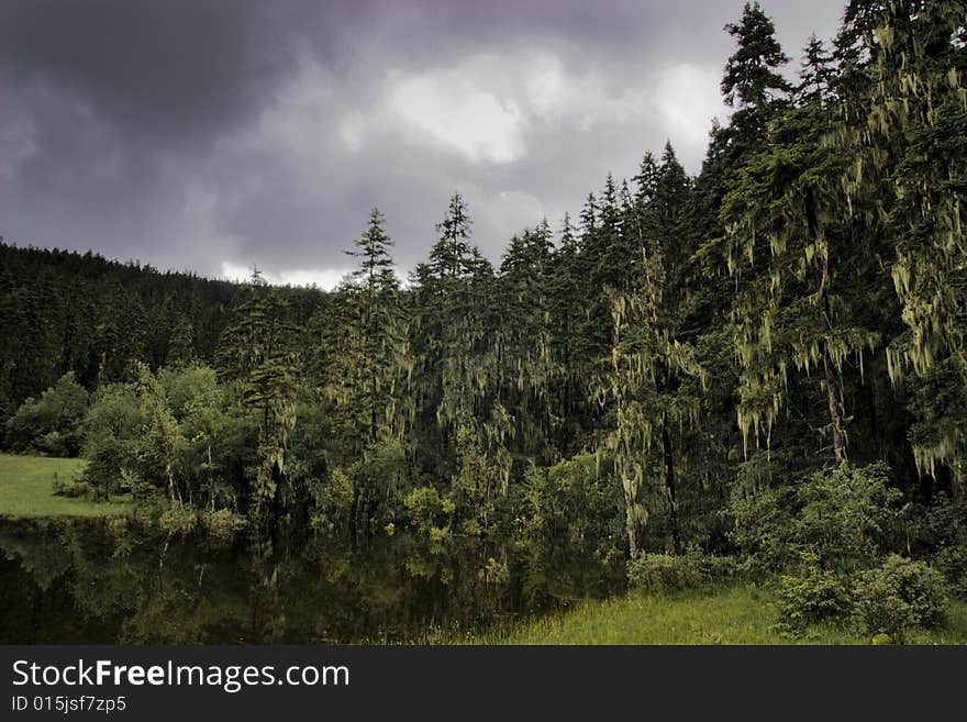 Includes a picture of forests, lakes and the gloomy sky. Includes a picture of forests, lakes and the gloomy sky