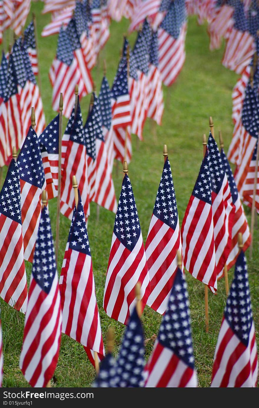 Memorial field of american flags. Memorial field of american flags