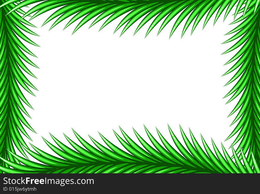 Vector illustration of Spruce Frame