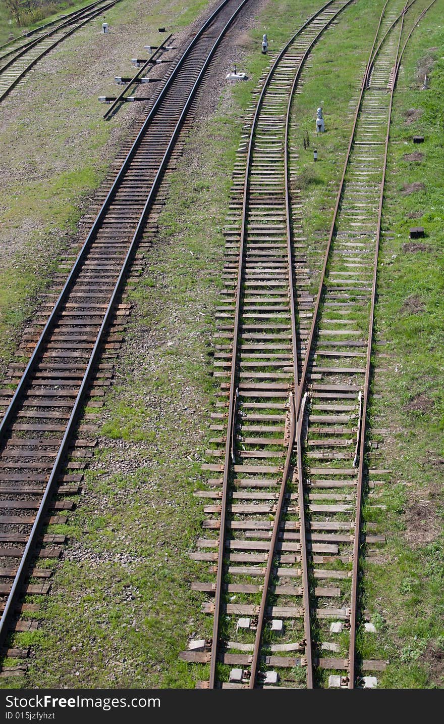 Rails In Green Grass