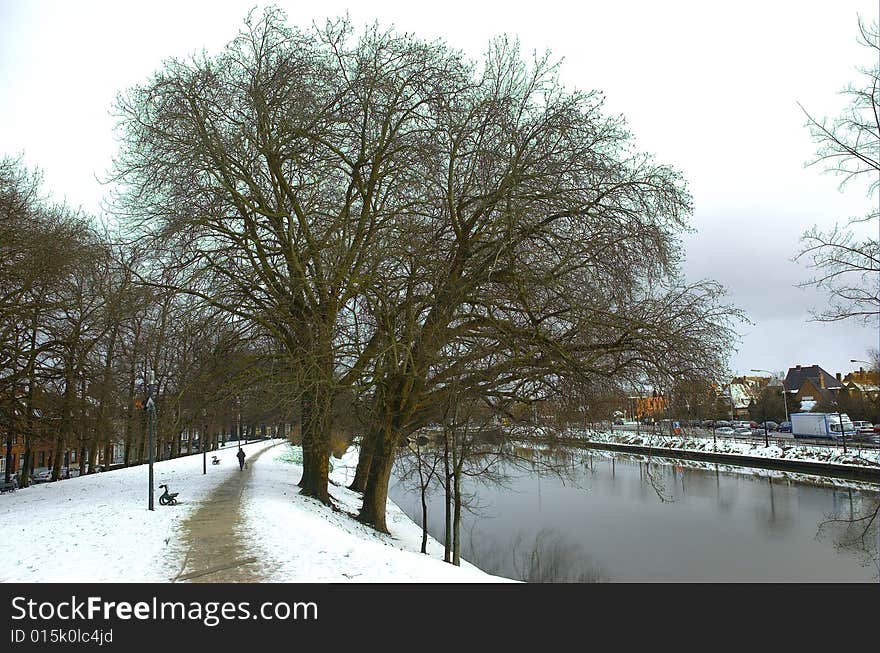 Trees to the border of the channel. Trees to the border of the channel.