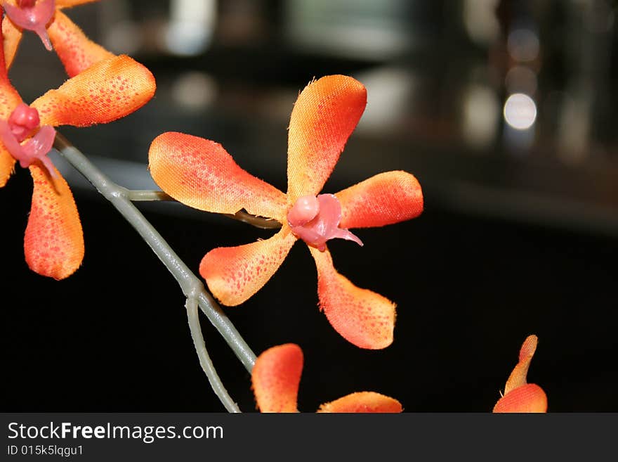 Orange Plastic Flowers