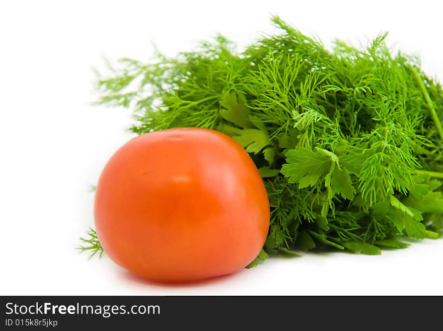 Succulent tomato with parsley for salad