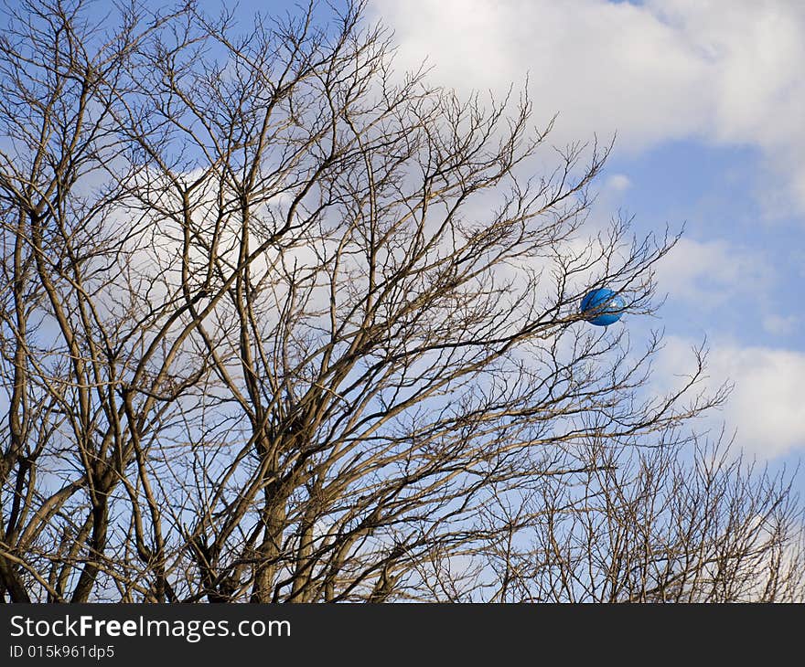 Blue balloon in a tree against a blue sky with clouds.