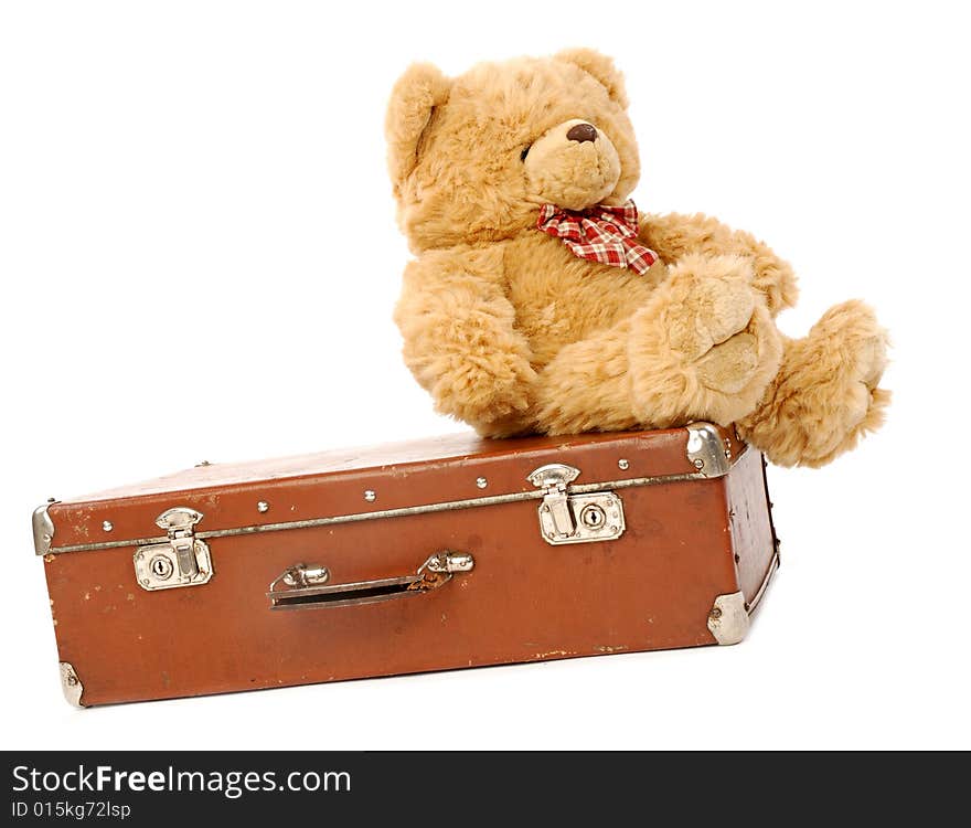 Bear & suitcase on a white background