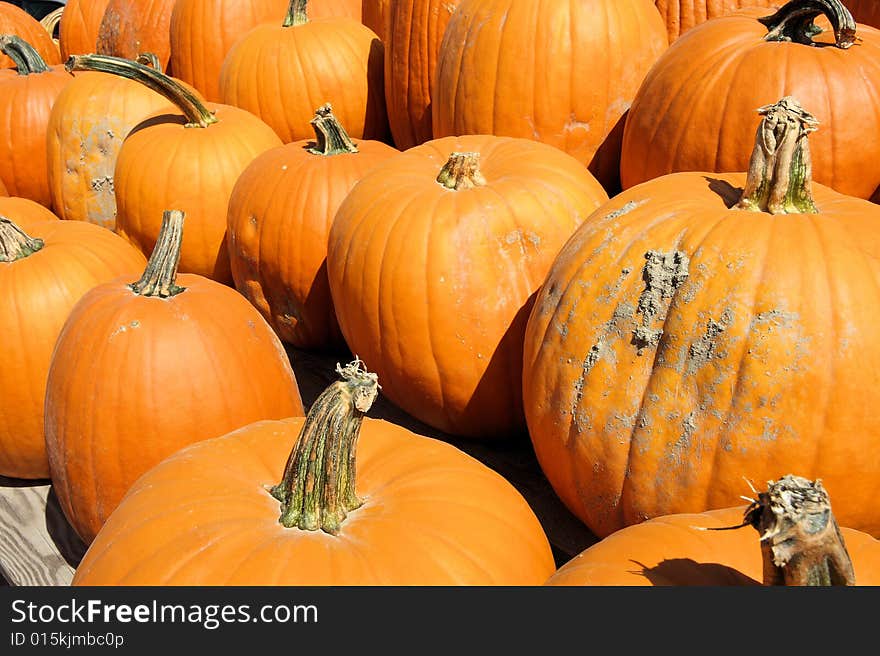 Pumpkins at a roadside farm stand