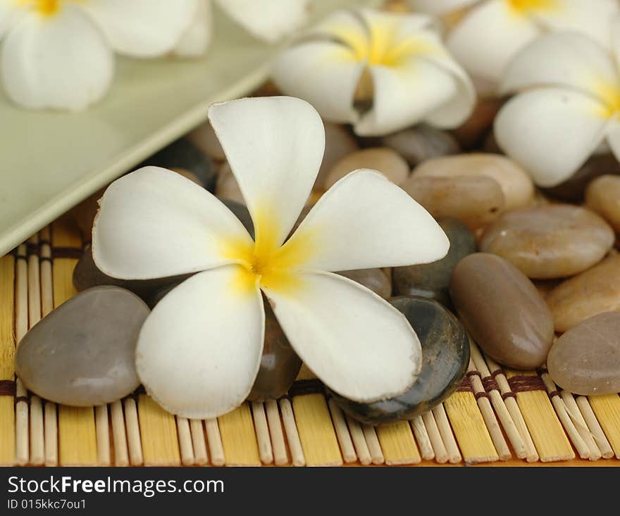 White Plumeria And Stones