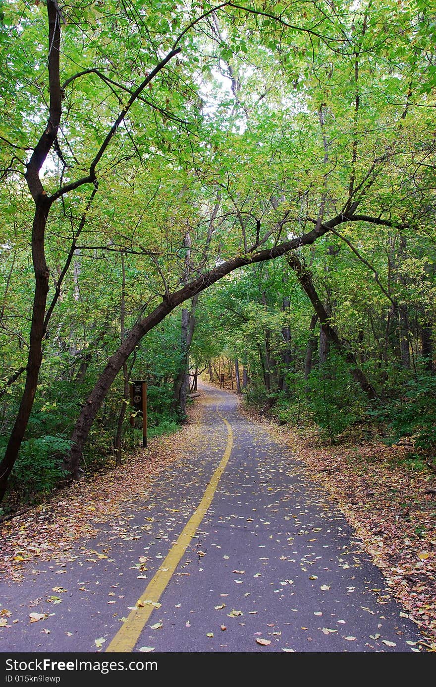 Road In The Autumn