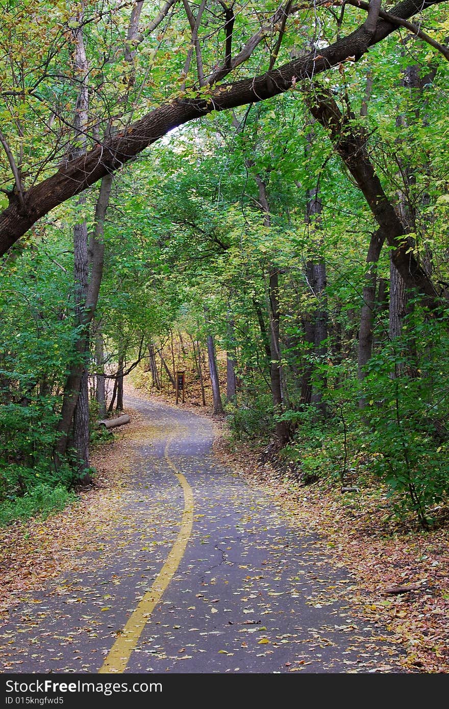 Road In The Autumn